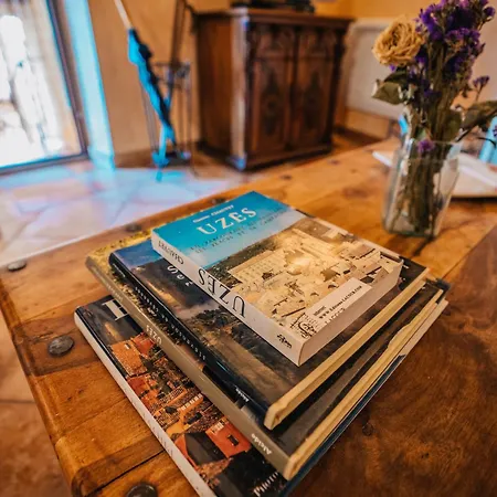 度假居 Maison En Pierre Avec Bassin *